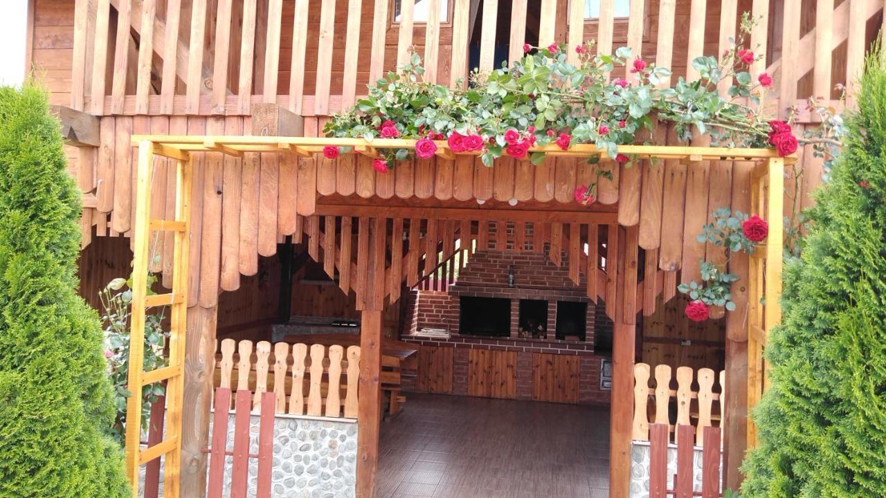 Pensiunea Casa Nina Cartisoara Luaran gambar