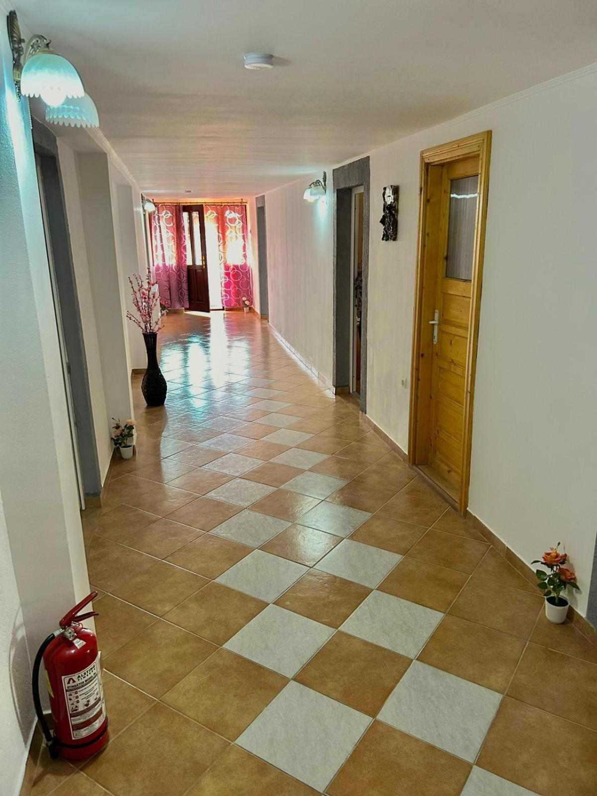 Pensiunea Casa Nina Cartisoara Luaran gambar