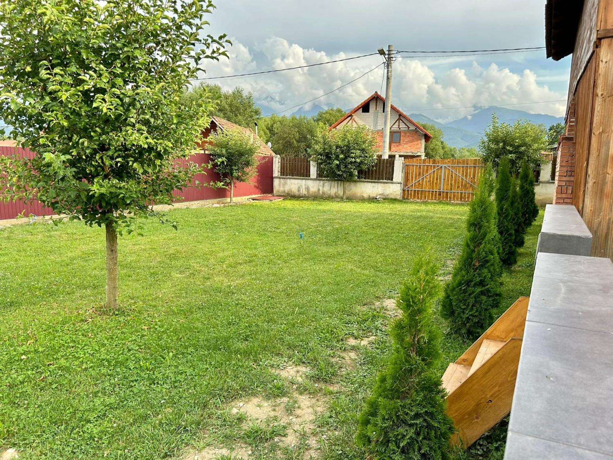 Pensiunea Casa Nina Cartisoara Luaran gambar